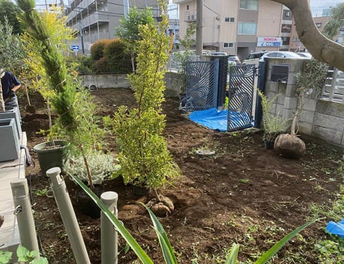 目利きが新鮮な庭木をご提供