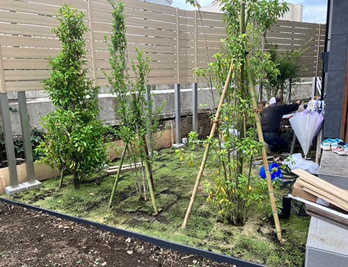 ついでの植え込みや支柱設置もOK！