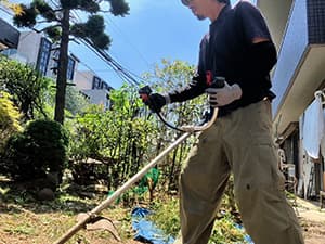 庭の手入れ(その他)