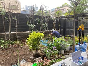 植栽・移植