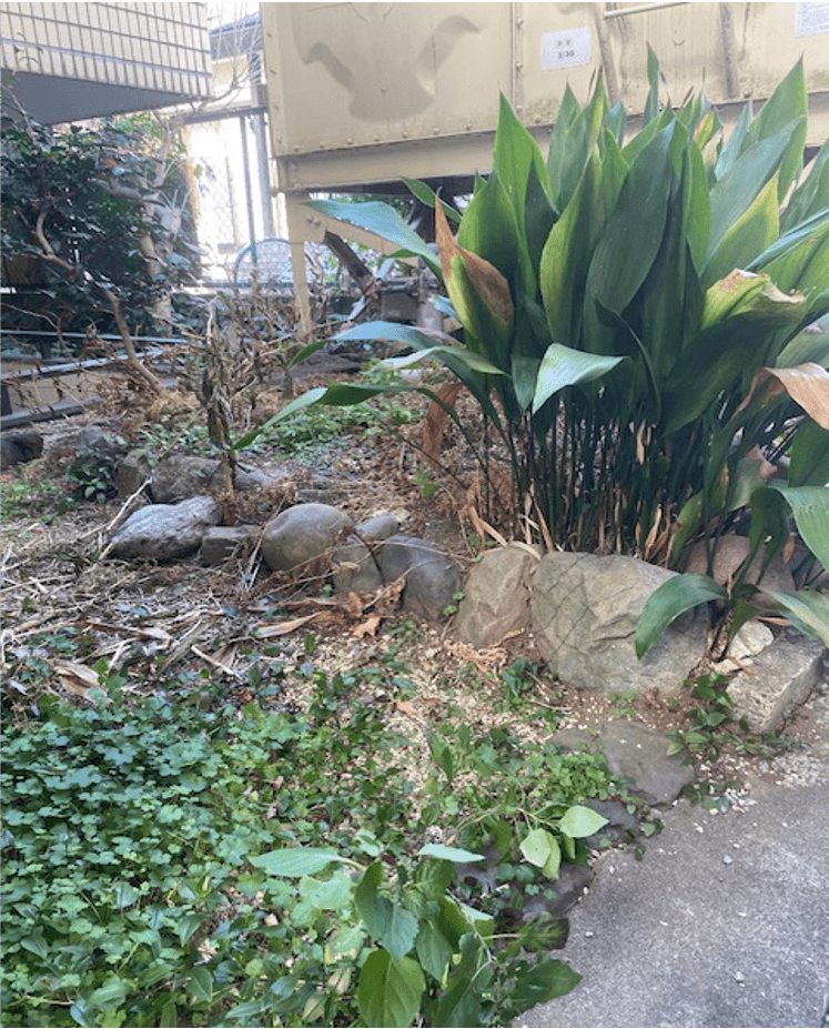 品川区 集合住宅 — 施工前 1