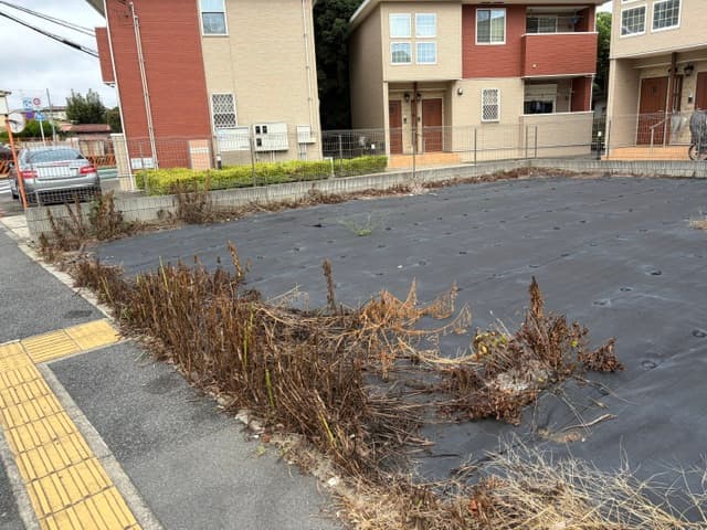 防草シート設置後に生えた雑草の処理法。~敷設前の下地処理が肝~ — ギャラリー 1
