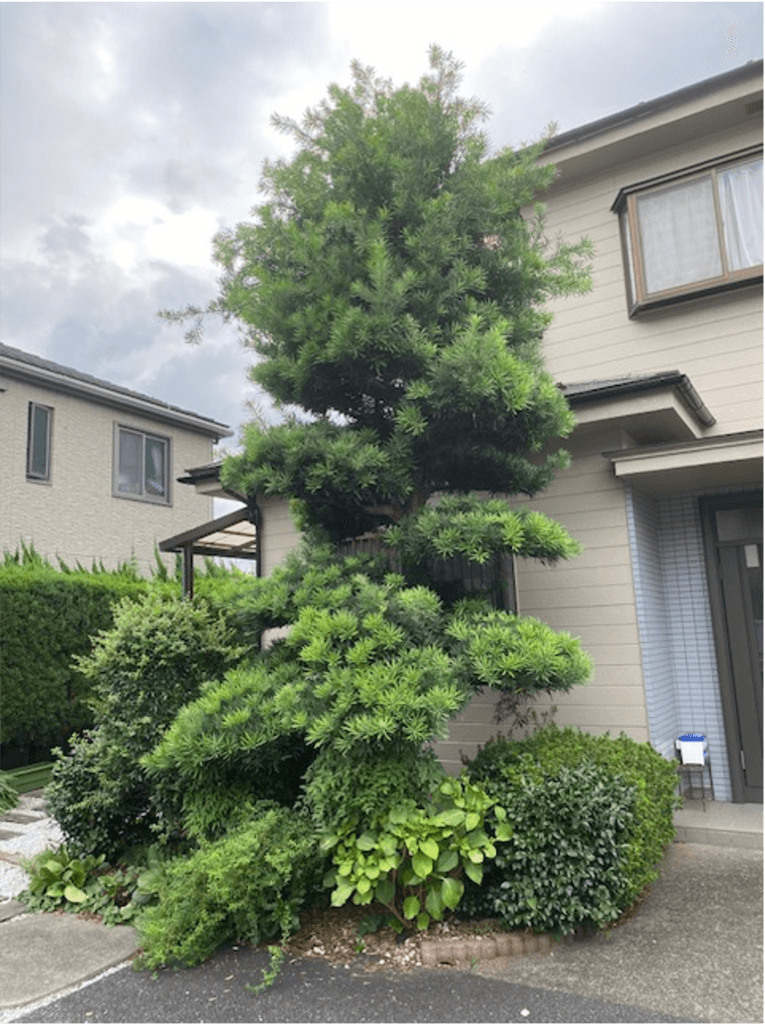 戸田市 個人邸 — 施工前 3