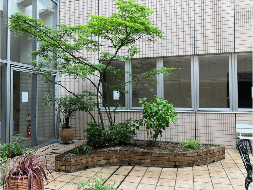 太田区 総合病院 — 施工後 1