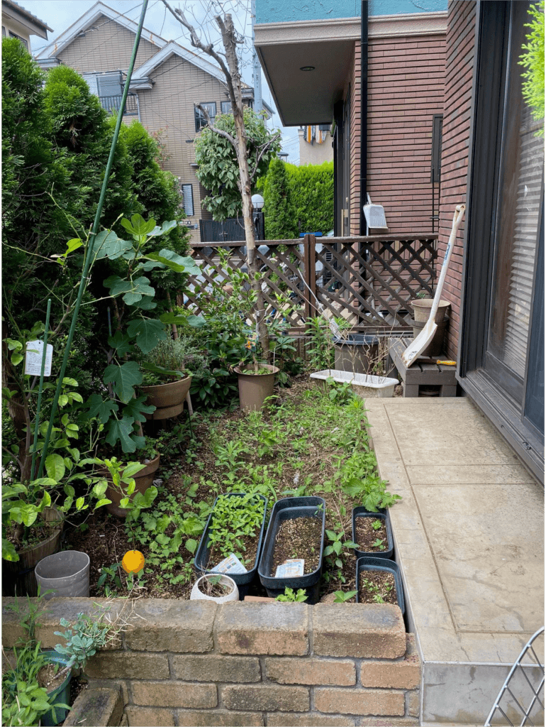 練馬区 個人邸 — 施工前 2