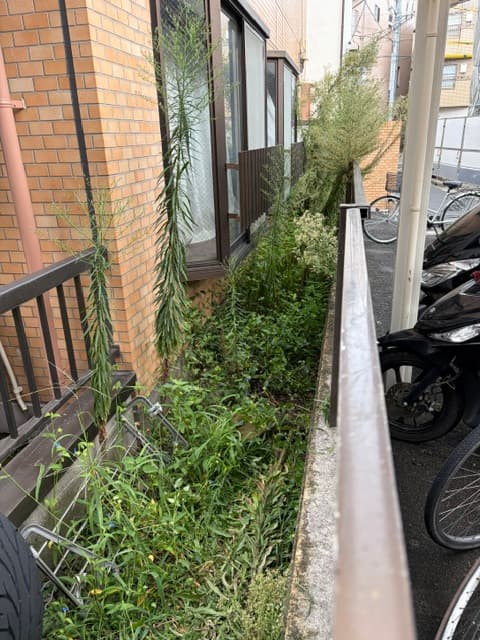 草が茫々の集合住宅の専用庭は、全面を砂利敷きにするのが一番経済的かつ容易!