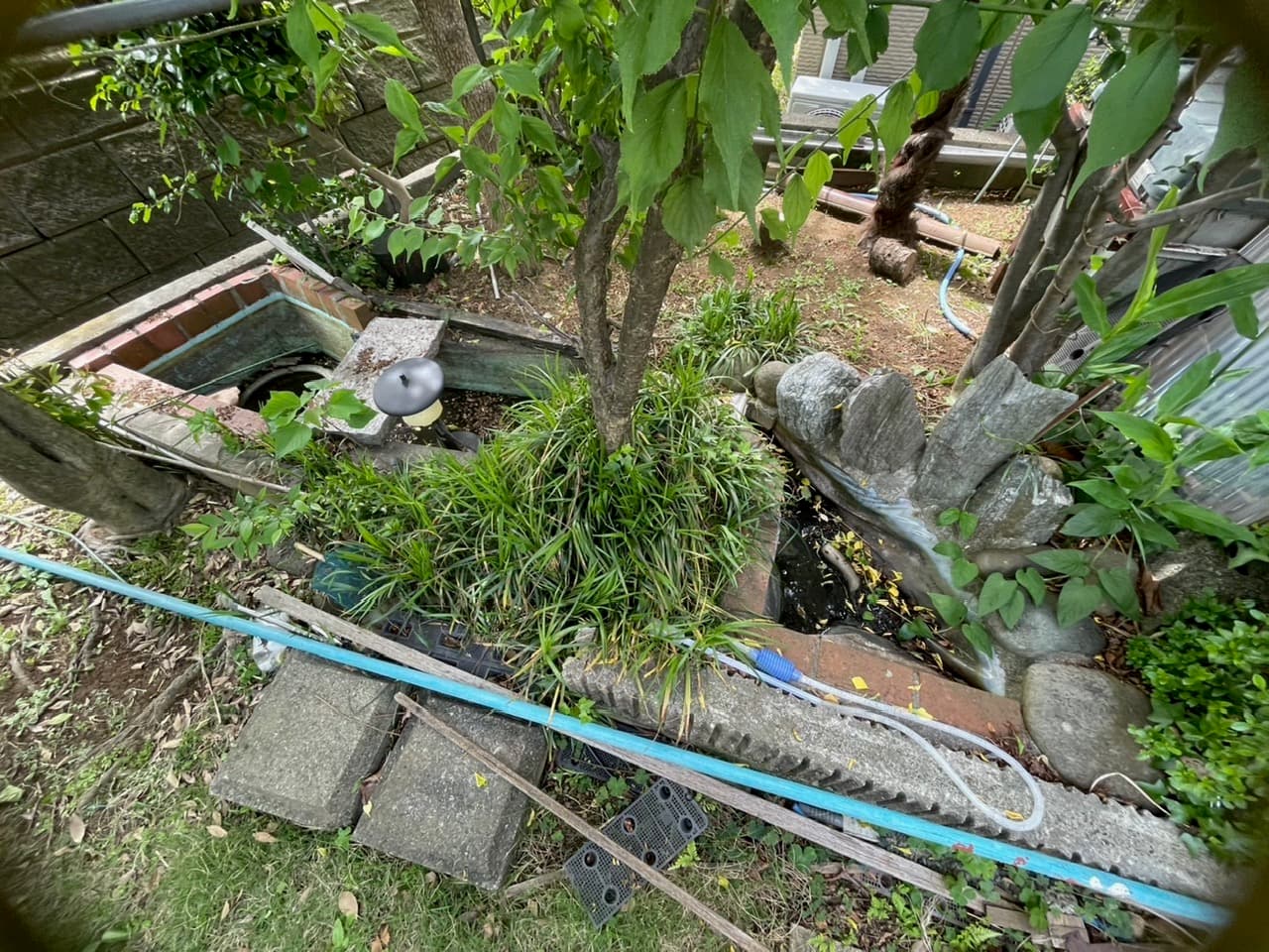 実家の父が元気な頃、庭の中心にDIYで造った池が不要になった(困) ~さて、どうしたらいいか?~ — ギャラリー 1